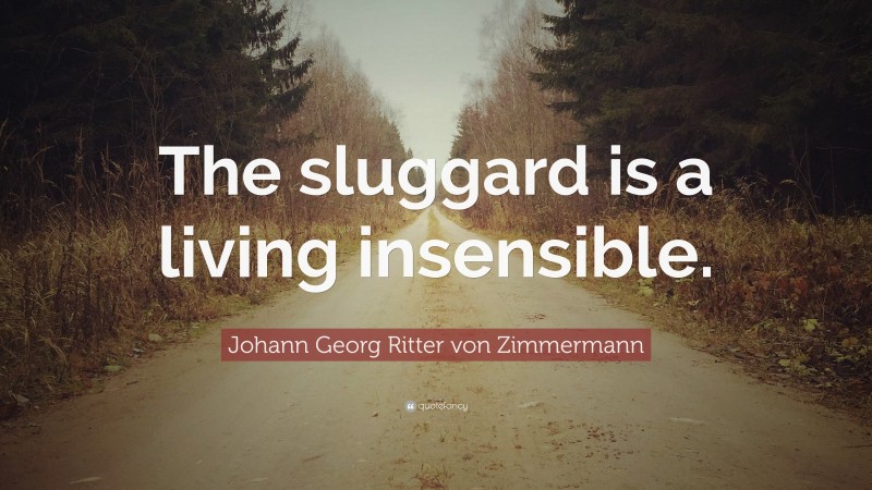 Johann Georg Zimmermann Quote: “The sluggard is a living insensible.”