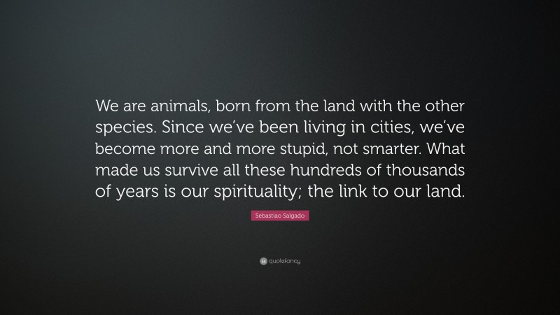 Sebastiao Salgado Quote: “We are animals, born from the land with the other species. Since we’ve been living in cities, we’ve become more and more stupid, not smarter. What made us survive all these hundreds of thousands of years is our spirituality; the link to our land.”