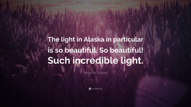 Sebastiao Salgado Quote: “The light in Alaska in particular is so beautiful. So beautiful! Such incredible light.”