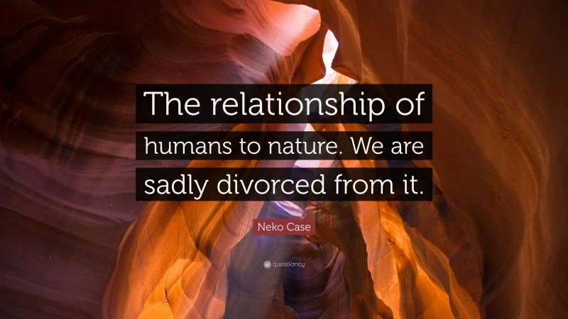 Neko Case Quote: “The relationship of humans to nature. We are sadly divorced from it.”
