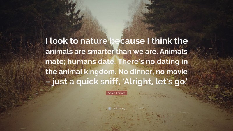 Adam Ferrara Quote: “I look to nature because I think the animals are smarter than we are. Animals mate; humans date. There’s no dating in the animal kingdom. No dinner, no movie – just a quick sniff, ‘Alright, let’s go.’”