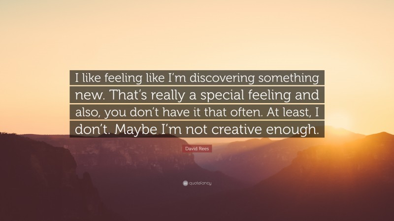 David Rees Quote: “I like feeling like I’m discovering something new. That’s really a special feeling and also, you don’t have it that often. At least, I don’t. Maybe I’m not creative enough.”
