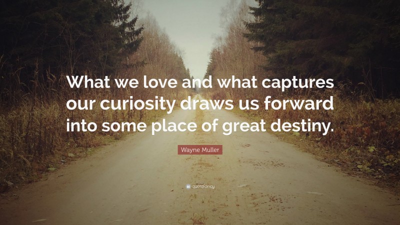 Wayne Muller Quote: “What we love and what captures our curiosity draws us forward into some place of great destiny.”