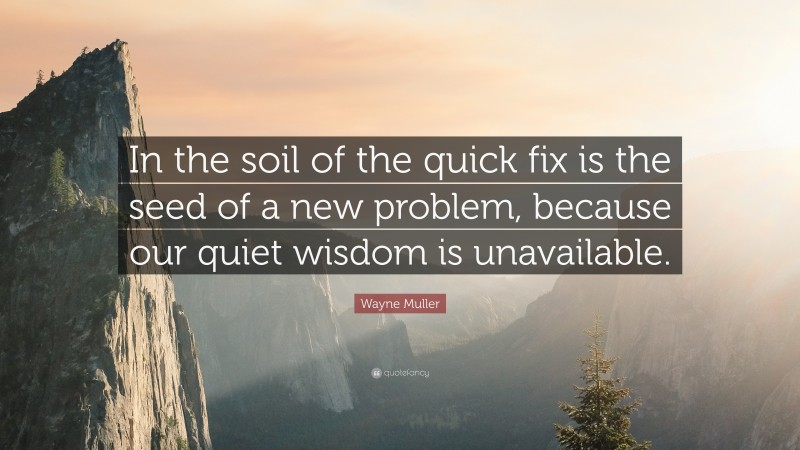 Wayne Muller Quote: “In the soil of the quick fix is the seed of a new problem, because our quiet wisdom is unavailable.”