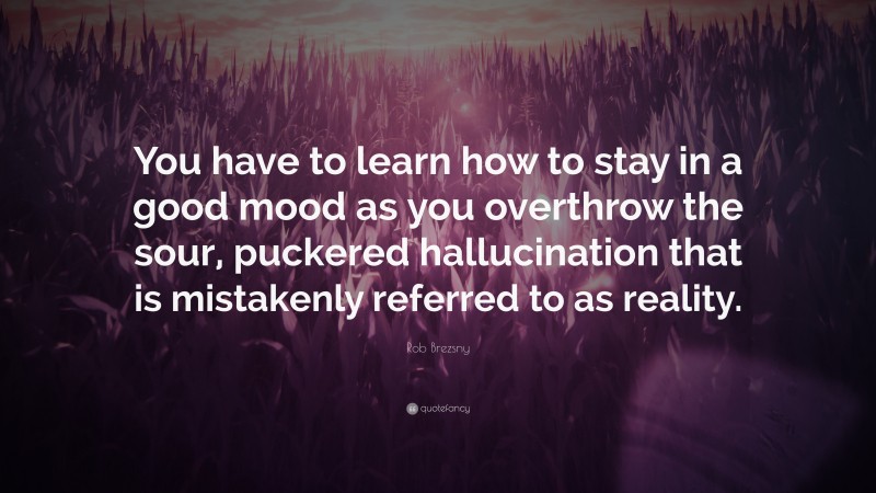 Rob Brezsny Quote: “You have to learn how to stay in a good mood as you overthrow the sour, puckered hallucination that is mistakenly referred to as reality.”