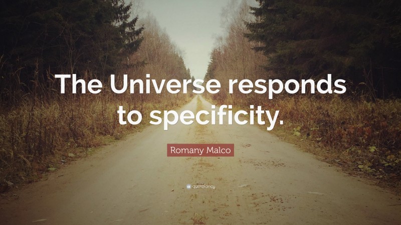 Romany Malco Quote: “The Universe responds to specificity.”