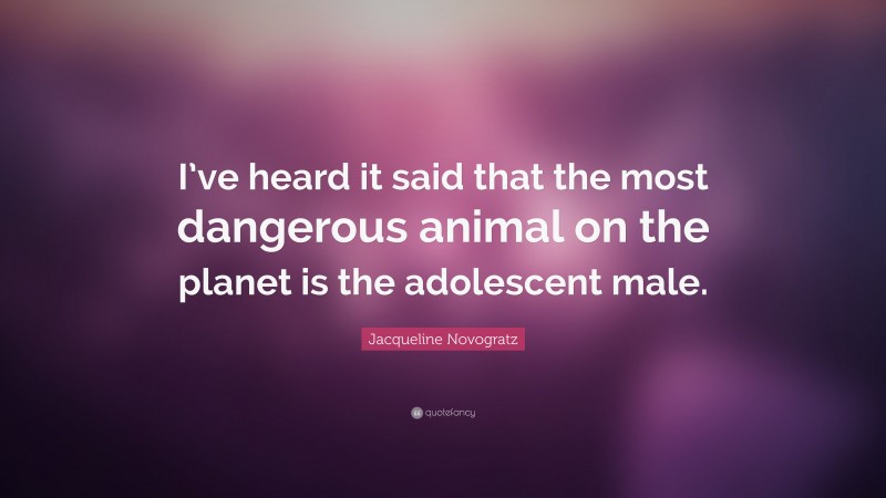 Jacqueline Novogratz Quote: “I’ve heard it said that the most dangerous animal on the planet is the adolescent male.”