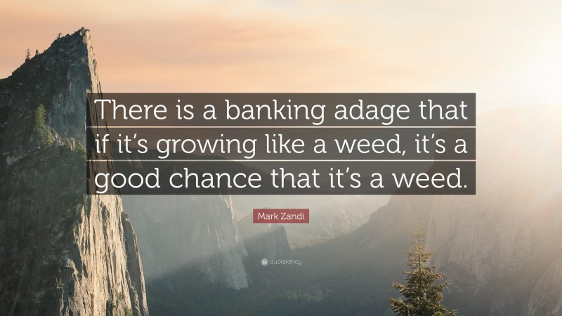 Mark Zandi Quote: “There is a banking adage that if it’s growing like a weed, it’s a good chance that it’s a weed.”