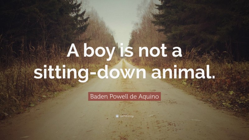 Baden Powell de Aquino Quote: “A boy is not a sitting-down animal.”