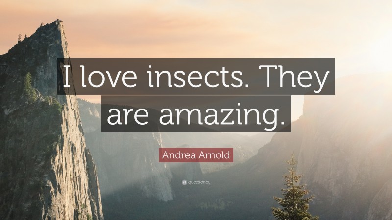 Andrea Arnold Quote: “I love insects. They are amazing.”
