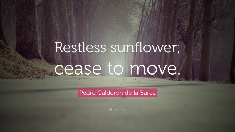 Pedro Calderón de la Barca Quote: “Restless sunflower; cease to move.”