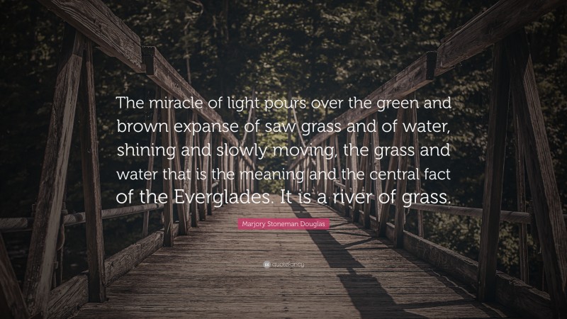 Marjory Stoneman Douglas Quote: “The miracle of light pours over the green and brown expanse of saw grass and of water, shining and slowly moving, the grass and water that is the meaning and the central fact of the Everglades. It is a river of grass.”