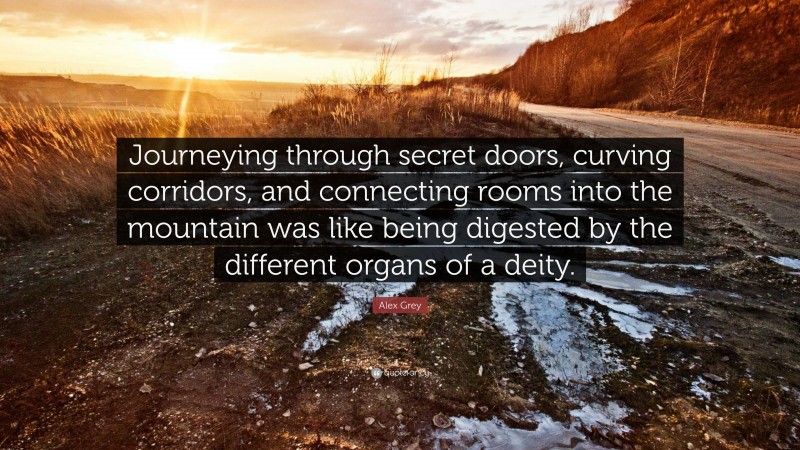 Alex Grey Quote: “Journeying through secret doors, curving corridors, and connecting rooms into the mountain was like being digested by the different organs of a deity.”