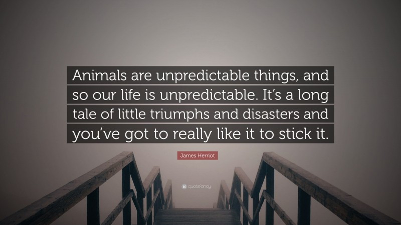James Herriot Quote: “Animals are unpredictable things, and so our life is unpredictable. It’s a long tale of little triumphs and disasters and you’ve got to really like it to stick it.”