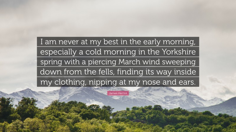 James Herriot Quote: “I am never at my best in the early morning, especially a cold morning in the Yorkshire spring with a piercing March wind sweeping down from the fells, finding its way inside my clothing, nipping at my nose and ears.”