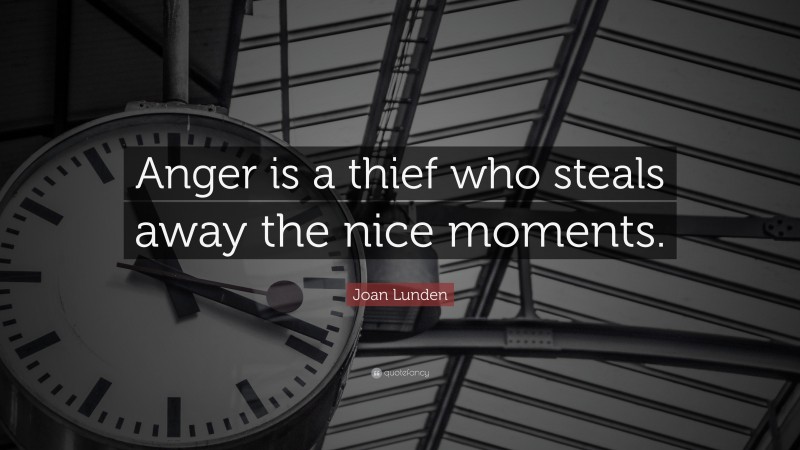 Joan Lunden Quote: “Anger is a thief who steals away the nice moments.”