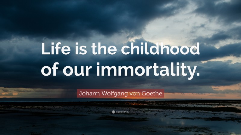 Johann Wolfgang von Goethe Quote: “Life is the childhood of our immortality.”