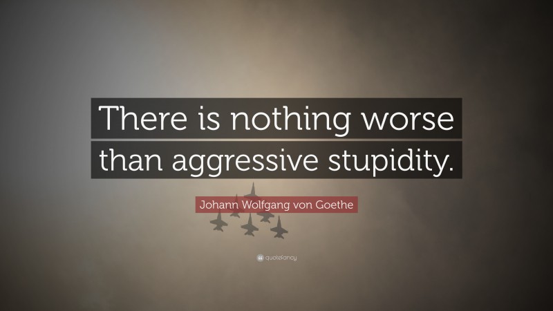 Johann Wolfgang von Goethe Quote: “There is nothing worse than aggressive stupidity.”