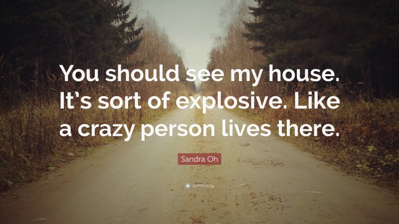 Sandra Oh Quote: “You should see my house. It’s sort of explosive. Like a crazy person lives there.”