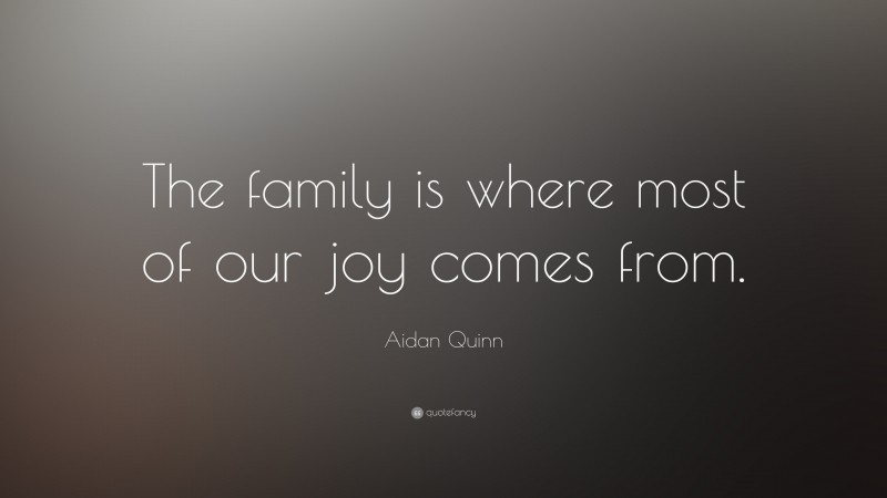 Aidan Quinn Quote: “The family is where most of our joy comes from.”