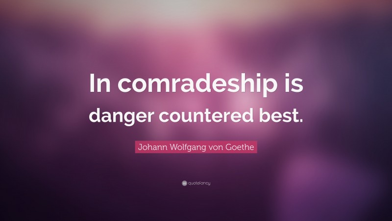 Johann Wolfgang von Goethe Quote: “In comradeship is danger countered best.”