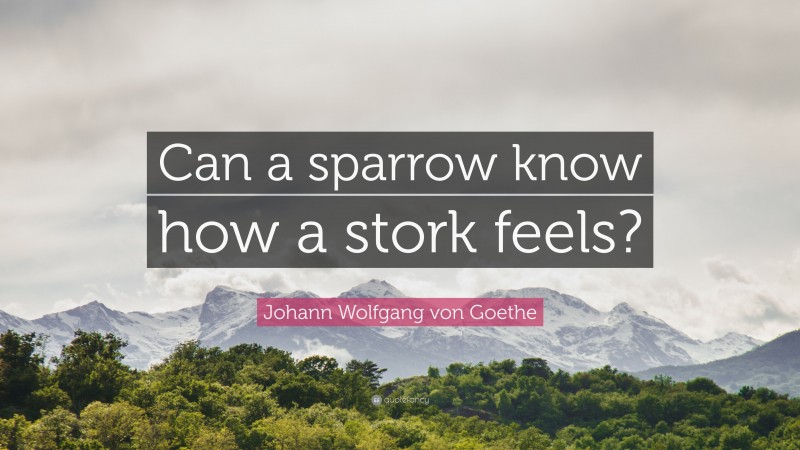 Johann Wolfgang von Goethe Quote: “Can a sparrow know how a stork feels?”