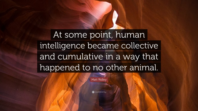 Matt Ridley Quote: “At some point, human intelligence became collective and cumulative in a way that happened to no other animal.”