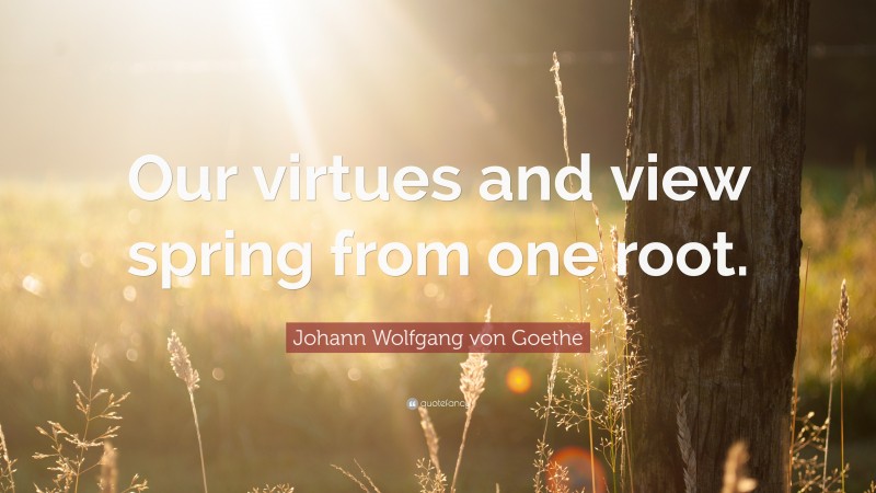 Johann Wolfgang von Goethe Quote: “Our virtues and view spring from one root.”