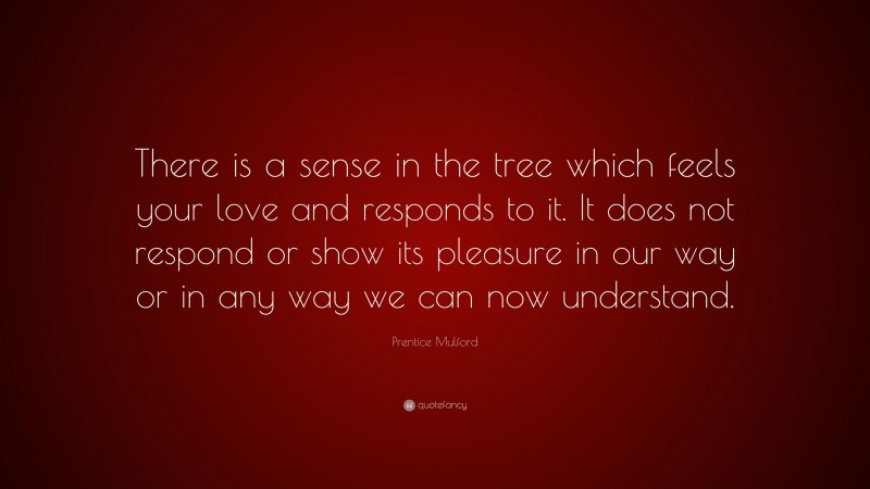 Prentice Mulford Quote: “There is a sense in the tree which feels your love and responds to it. It does not respond or show its pleasure in our way or in any way we can now understand.”