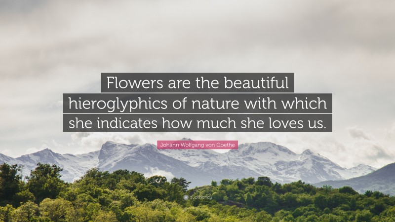 Johann Wolfgang von Goethe Quote: “Flowers are the beautiful hieroglyphics of nature with which she indicates how much she loves us.”