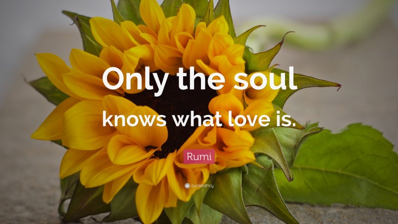 Rumi Quote: “Only the soul knows what love is.”