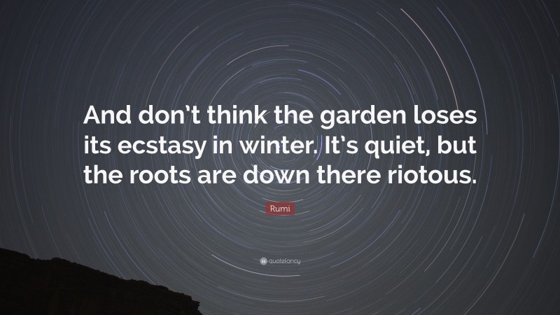 Rumi Quote: “And don’t think the garden loses its ecstasy in winter. It’s quiet, but the roots are down there riotous.”