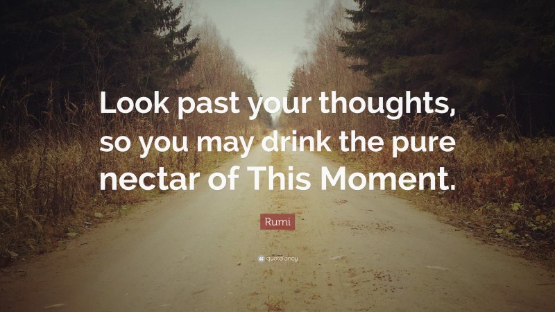 Rumi Quote: “Look past your thoughts, so you may drink the pure nectar of This Moment.”