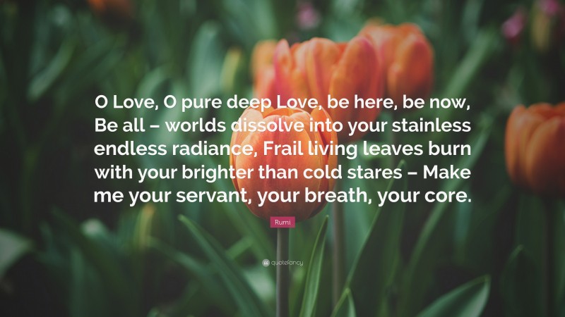 Rumi Quote: “O Love, O pure deep Love, be here, be now, Be all – worlds dissolve into your stainless endless radiance, Frail living leaves burn with your brighter than cold stares – Make me your servant, your breath, your core.”