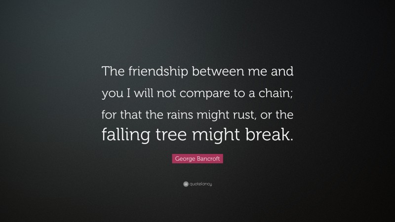 George Bancroft Quote: “The friendship between me and you I will not compare to a chain; for that the rains might rust, or the falling tree might break.”