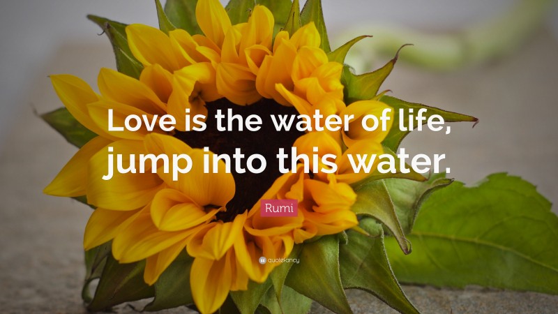 Rumi Quote: “Love is the water of life, jump into this water.”