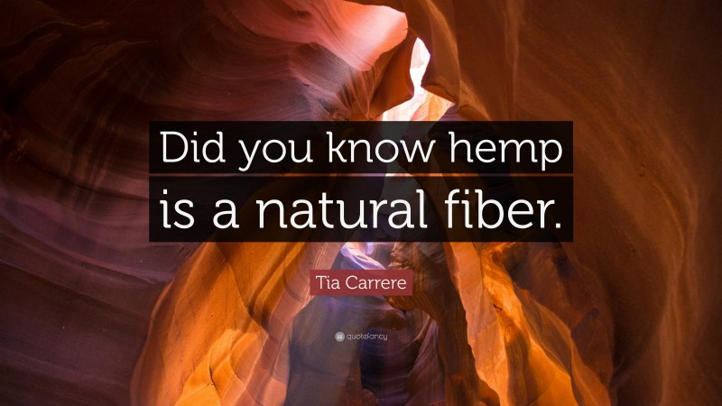 Tia Carrere Quote: “Did you know hemp is a natural fiber.”