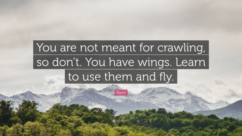 Rumi Quote: “You are not meant for crawling, so don’t. You have wings. Learn to use them and fly.”