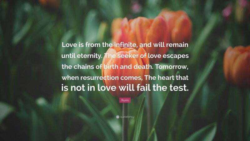 Rumi Quote: “Love is from the infinite, and will remain until eternity. The seeker of love escapes the chains of birth and death. Tomorrow, when resurrection comes, The heart that is not in love will fail the test.”