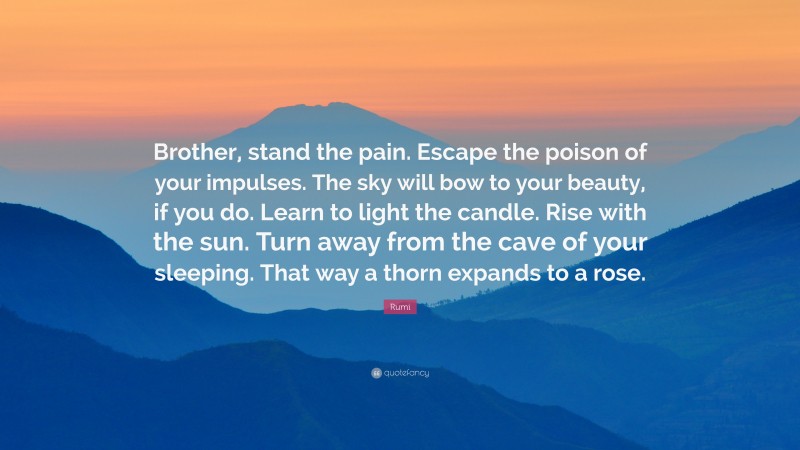 Rumi Quote: “Brother, stand the pain. Escape the poison of your impulses. The sky will bow to your beauty, if you do. Learn to light the candle. Rise with the sun. Turn away from the cave of your sleeping. That way a thorn expands to a rose.”