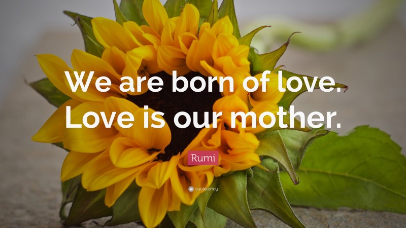 Rumi Quote: “We are born of love. Love is our mother.”
