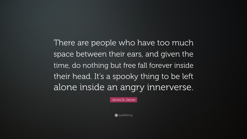 James St. James Quote: “There are people who have too much space between their ears, and given the time, do nothing but free fall forever inside their head. It’s a spooky thing to be left alone inside an angry innerverse.”