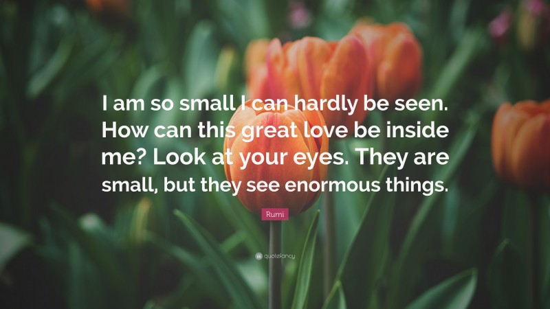 Rumi Quote: “I am so small I can hardly be seen. How can this great love be inside me? Look at your eyes. They are small, but they see enormous things.”