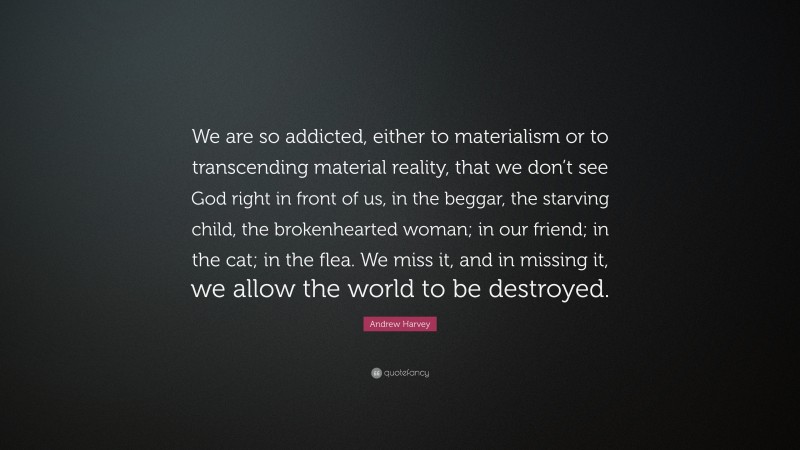 Andrew Harvey Quote: “We are so addicted, either to materialism or to transcending material reality, that we don’t see God right in front of us, in the beggar, the starving child, the brokenhearted woman; in our friend; in the cat; in the flea. We miss it, and in missing it, we allow the world to be destroyed.”