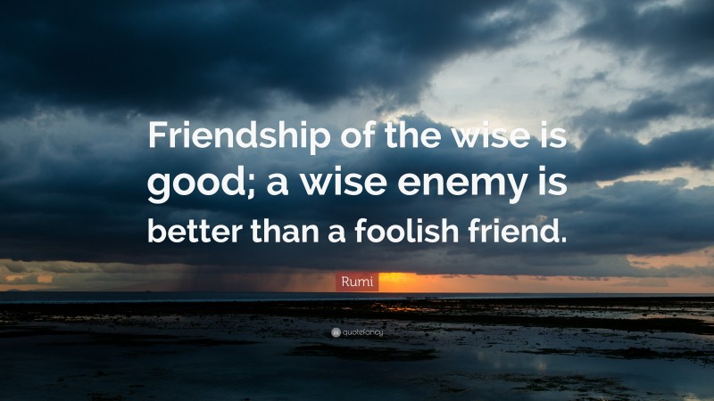 Rumi Quote: “Friendship of the wise is good; a wise enemy is better than a foolish friend.”
