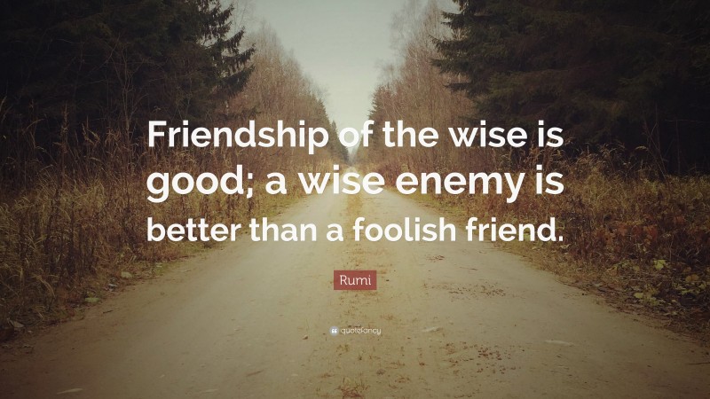 Rumi Quote: “Friendship of the wise is good; a wise enemy is better than a foolish friend.”
