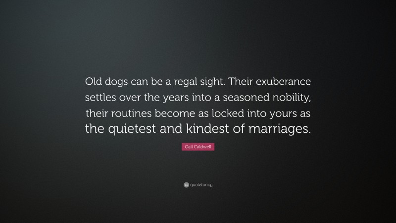 Gail Caldwell Quote: “Old dogs can be a regal sight. Their exuberance settles over the years into a seasoned nobility, their routines become as locked into yours as the quietest and kindest of marriages.”