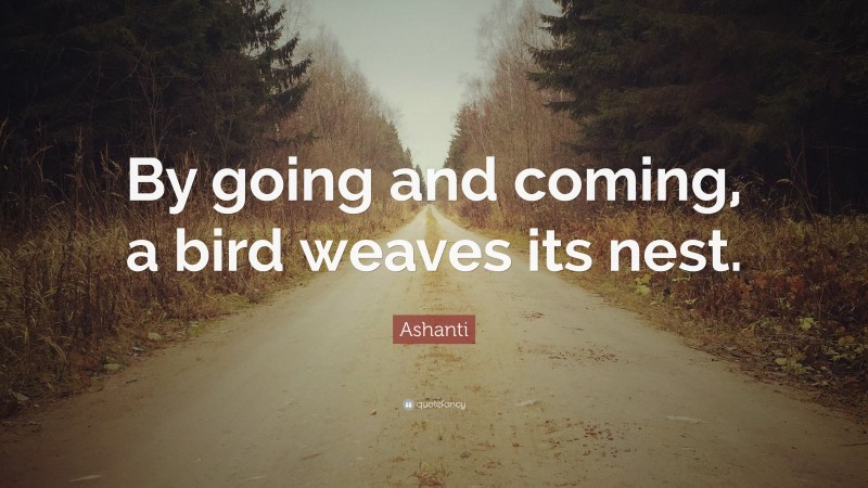 Ashanti Quote: “By going and coming, a bird weaves its nest.”