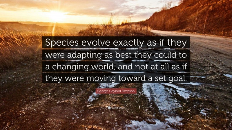 George Gaylord Simpson Quote: “Species evolve exactly as if they were adapting as best they could to a changing world, and not at all as if they were moving toward a set goal.”
