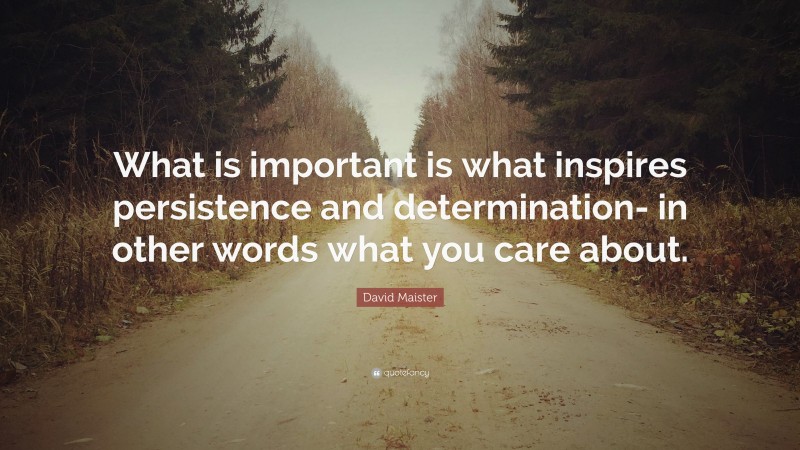 David Maister Quote: “What is important is what inspires persistence and determination- in other words what you care about.”